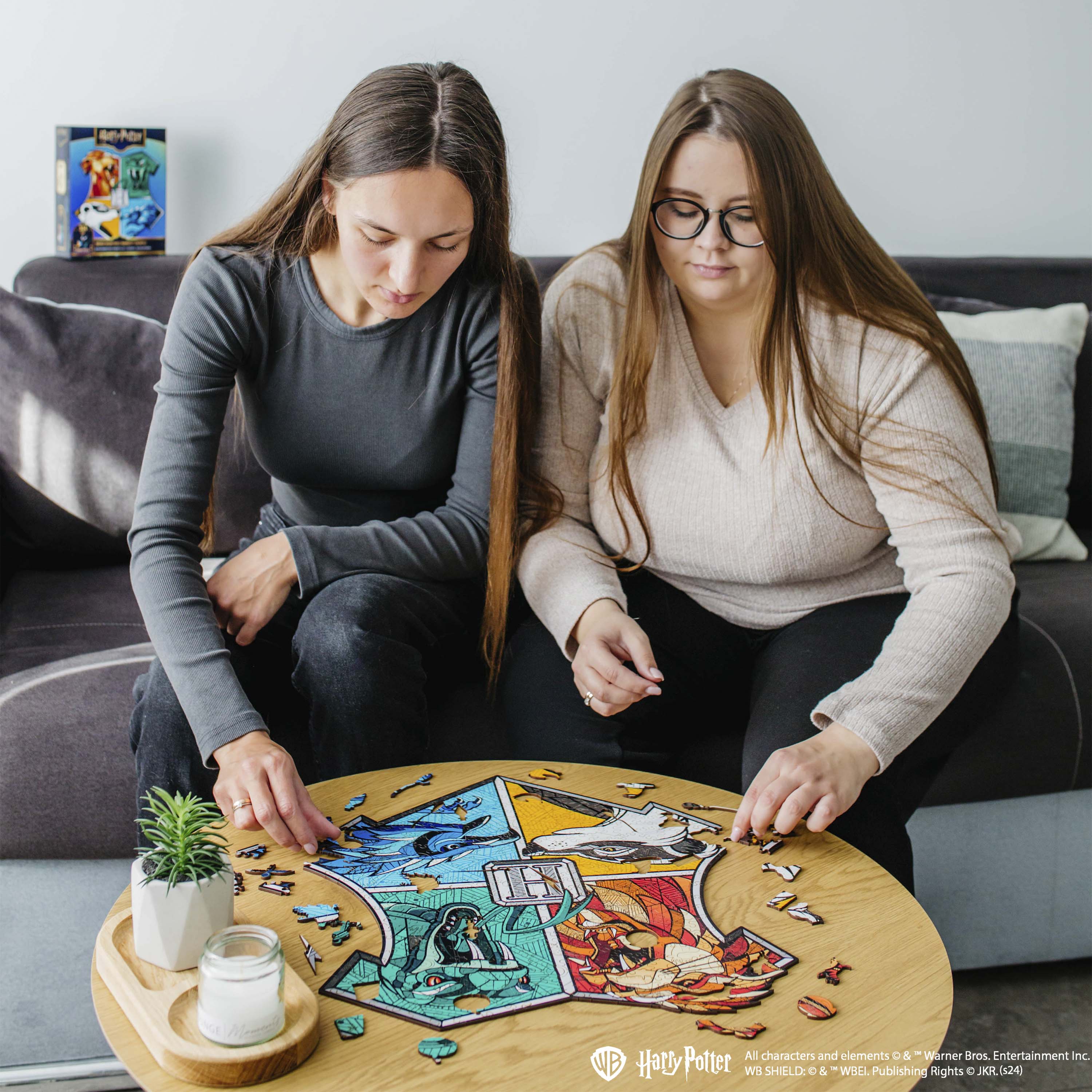 Wooden jigsaw classic puzzle Harry Potter Hogwarts™ (Colorful)