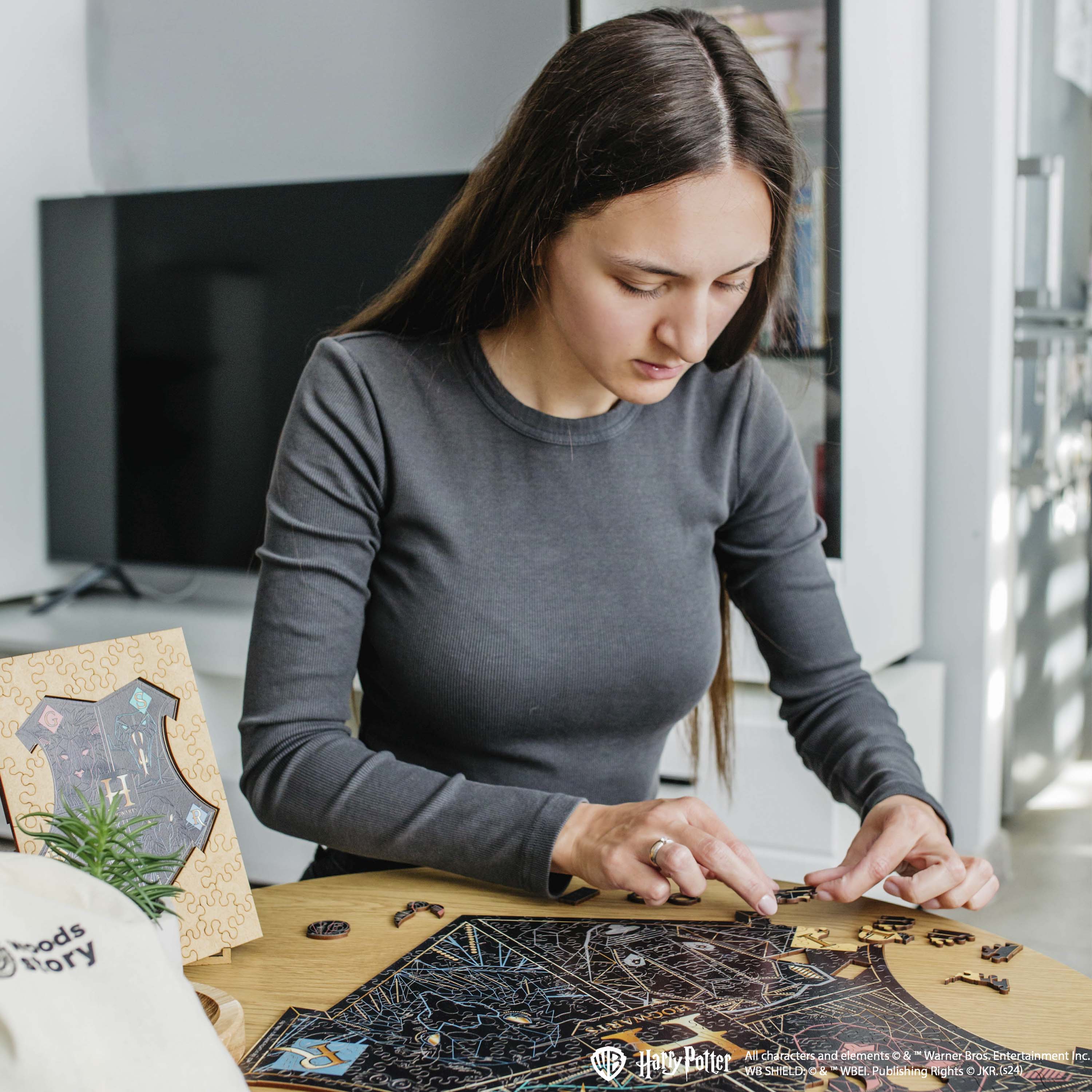 Wooden jigsaw classic puzzle Harry Potter Hogwarts™ (Black)