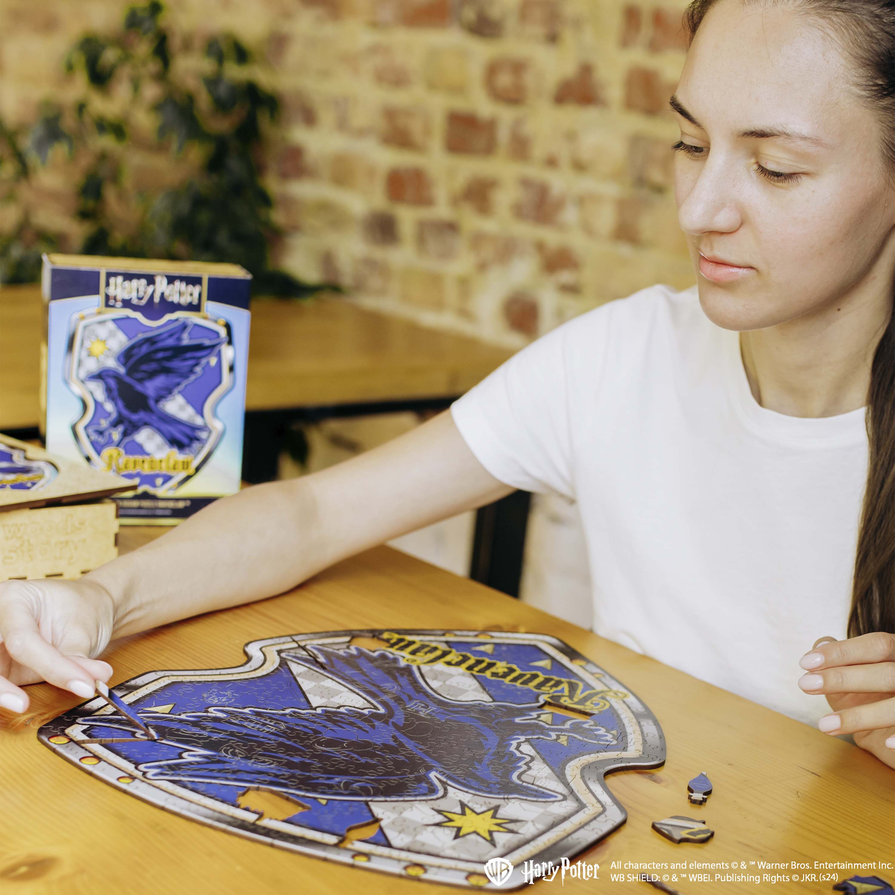 Wooden jigsaw puzzle Harry Potter Ravenclaw™ - Woods Story