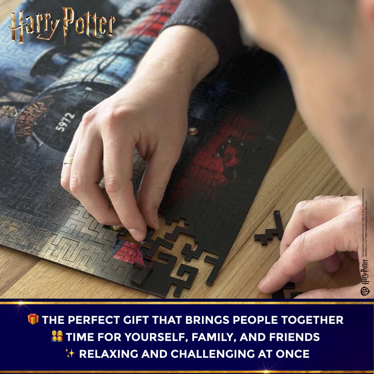 Wooden Maze Puzzle Harry Potter™ Hogwarts Express - Woods Story
