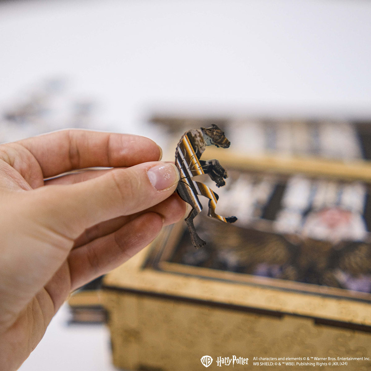 harry potter puzzle wizarding world