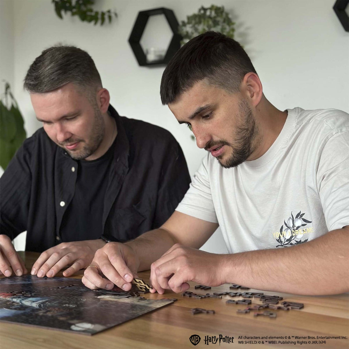 harry potter hogwarts express puzzle