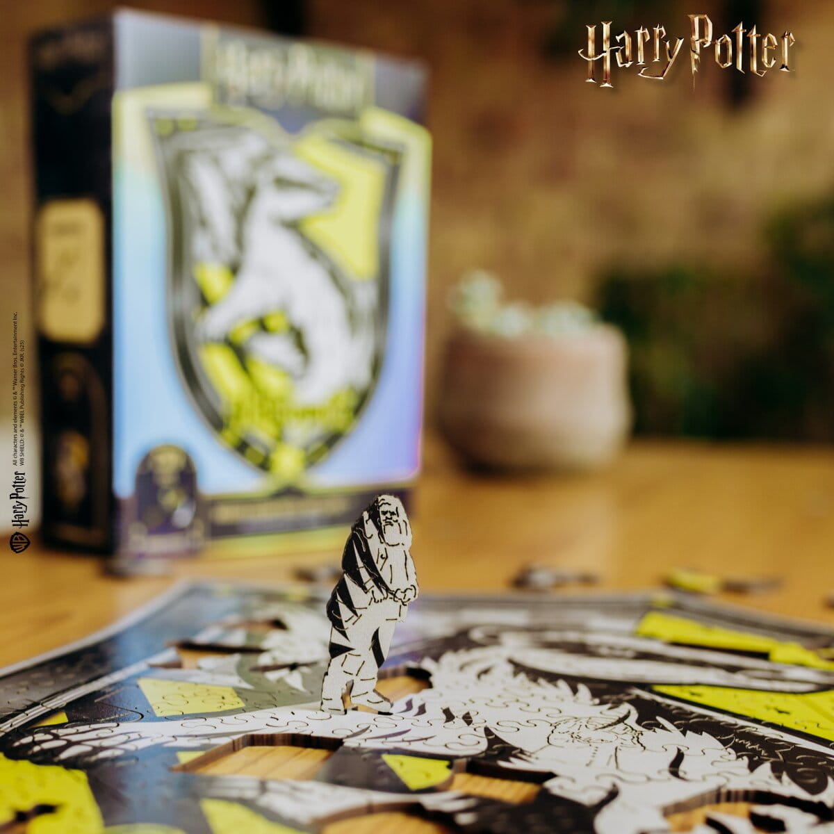 Harry Potter-themed product with a focus on a character figure and packaging.