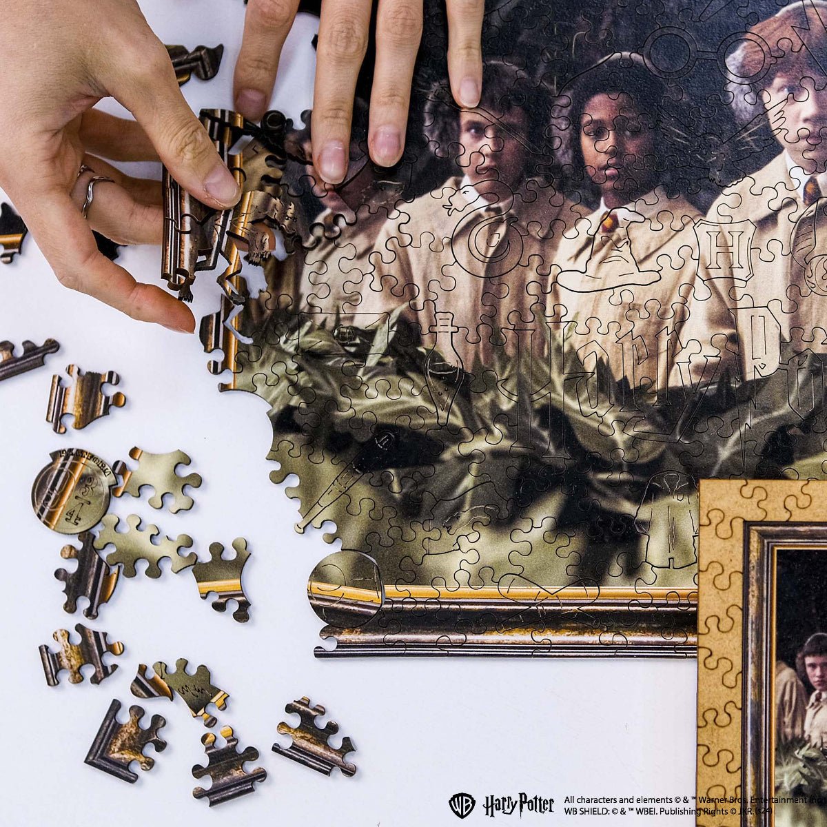 Wooden jigsaw puzzle Harry Potter™ Herbology - Woods Story