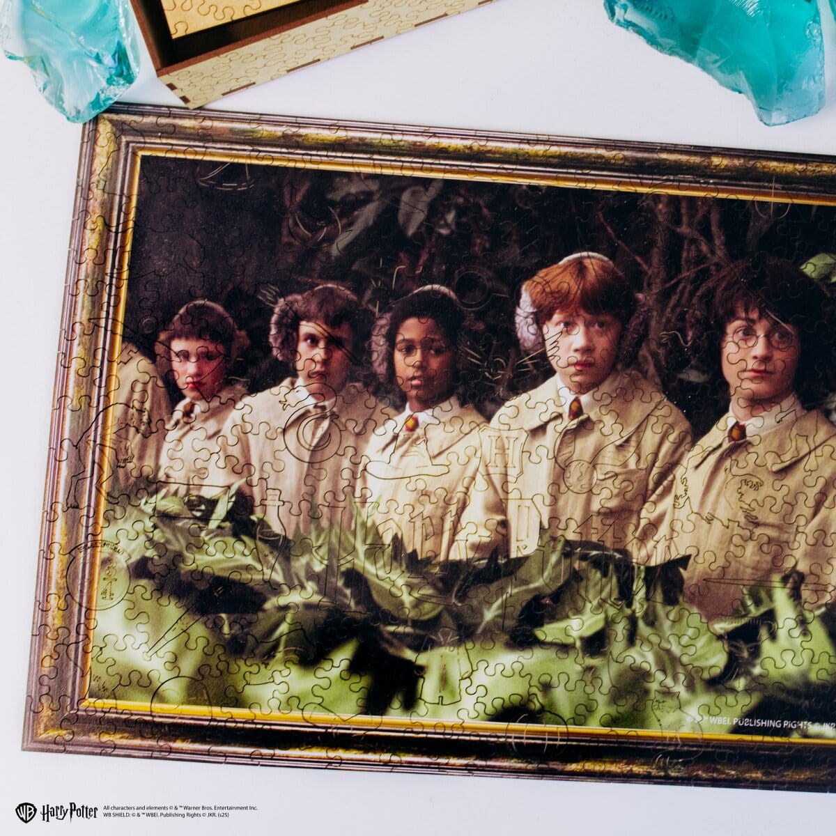 Wooden jigsaw puzzle Harry Potter™ Herbology - Woods Story