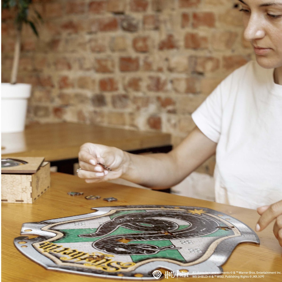 Wooden jigsaw puzzle Harry Potter Slytherin™ - Woods Story