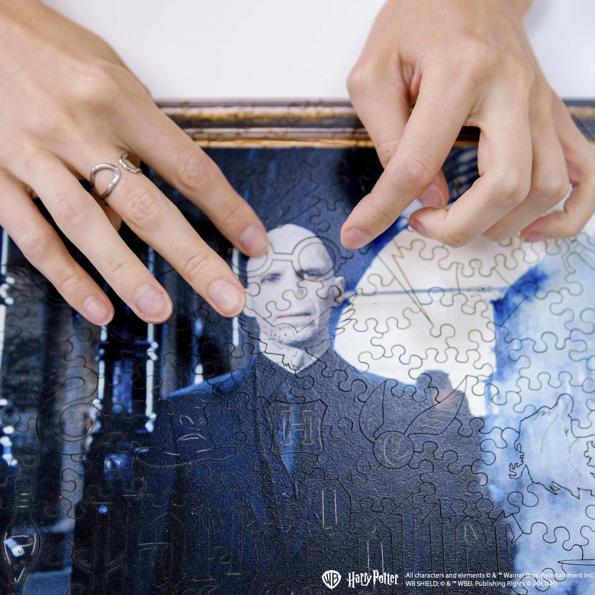 Wooden jigsaw puzzle Harry Potter Voldemort ™ - Woods Story
